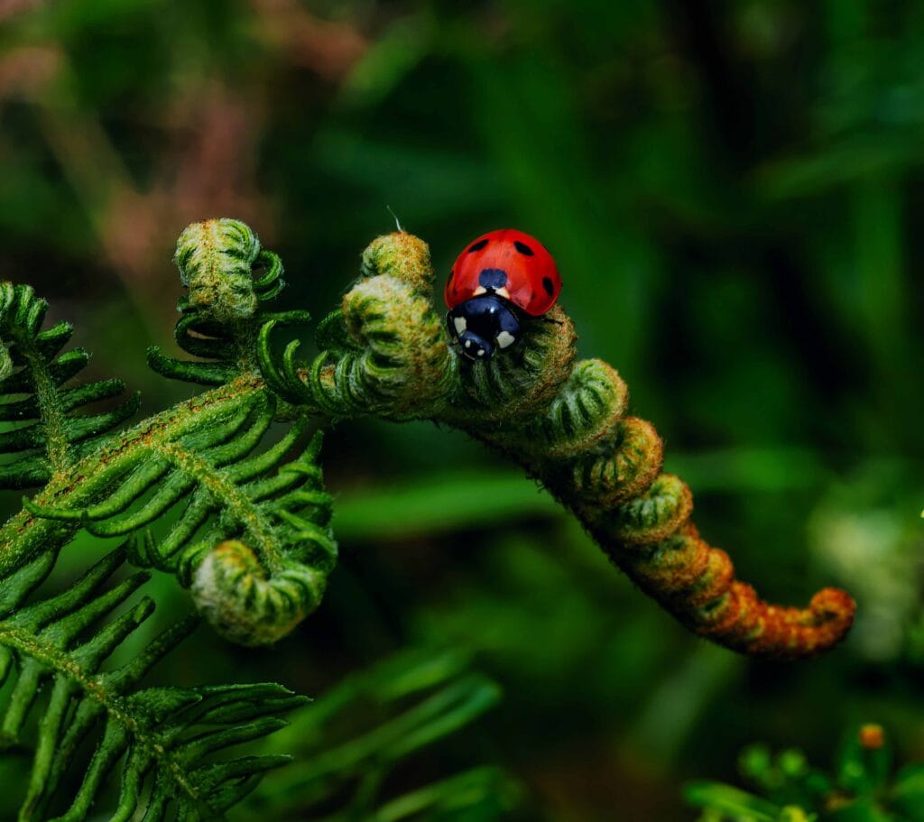 Unlocking Nature Markets: Identifying the winning factors from recent UK pilots