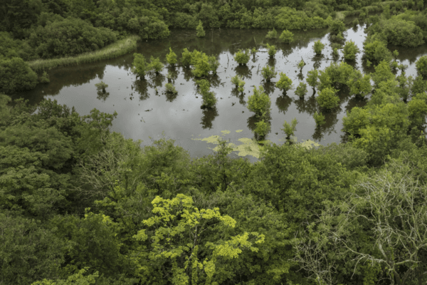 How FloodAction Coalition is making nature investable and unlocking a £1bn market for UK water resilience