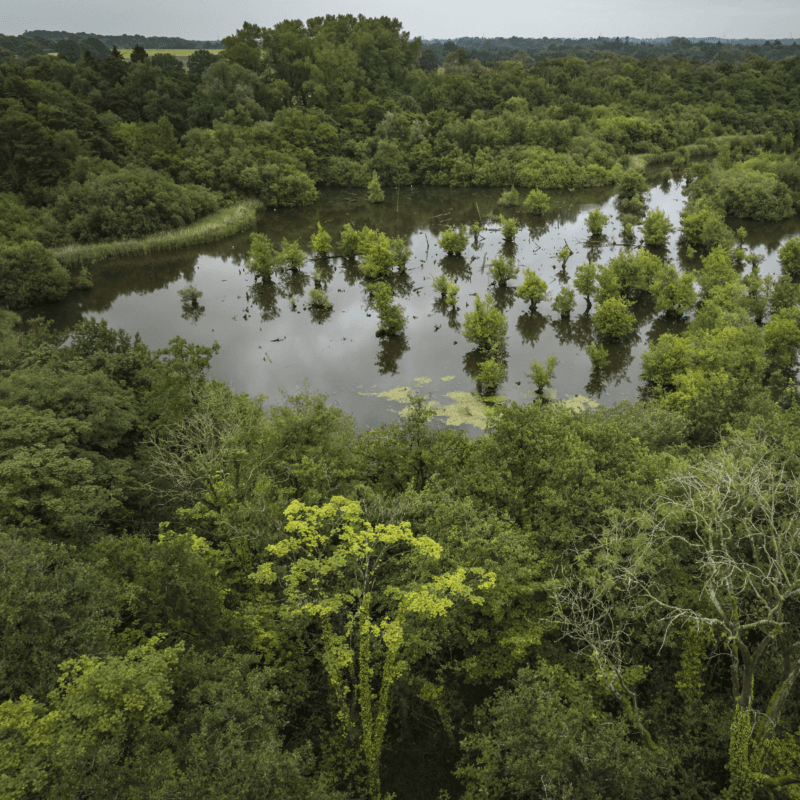 How FloodAction Coalition is making nature investable and unlocking a £1bn market for UK water resilience